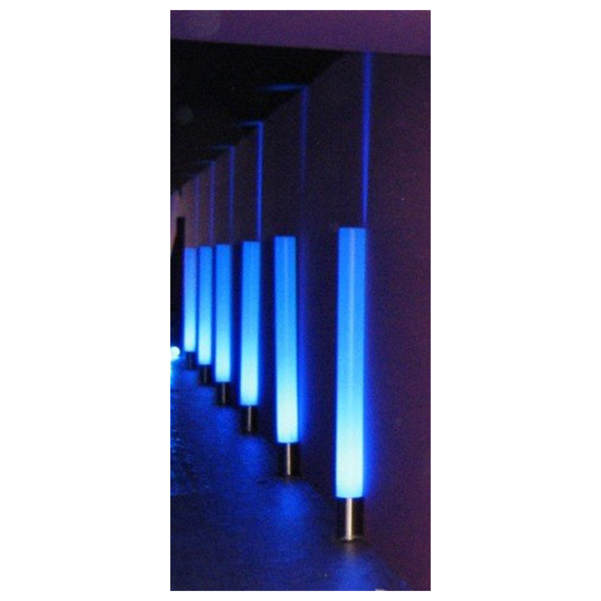 Boîte à lumière LED avec tube plexi 50, 100 et 150 cm